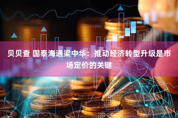 贝贝查 国泰海通梁中华：推动经济转型升级是市场定价的关键